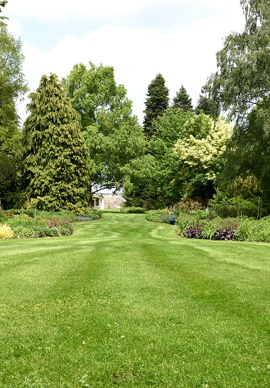 Pelouse verte striée dans un grand jardin avec massifs de fleurs colorées, arbres variés et un bâtiment au fond.