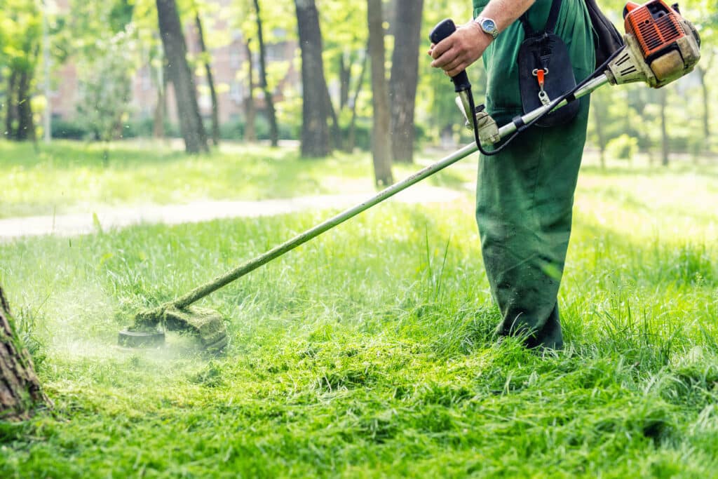Homme coupe l'herbe haute avec une débroussailleuse dans un parc ensoleillé, des brins volent.