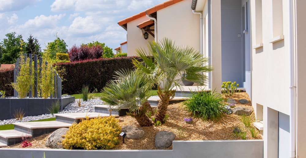 Jardin Paysager Moderne: Aménagement Entrée Maison Entrée de maison moderne, jardin paysager avec escalier en pierre, palmiers, plantes et paillage, aménagement extérieur contemporain.
