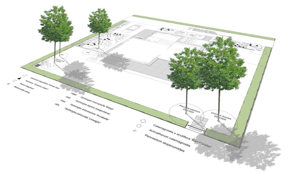 Plan de jardin isométrique avec arbres (Parrotia, Cornus), arbustes (Hydrangea), graminées et légende des plantes.